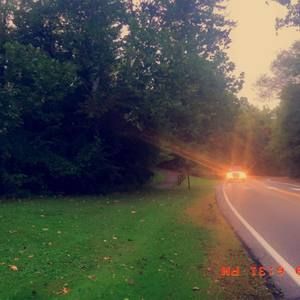 Meet your Posher, Nour